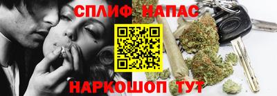 крисы Аргун